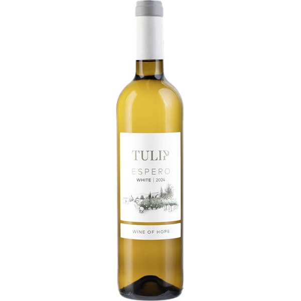 Tulip Espero White 2024