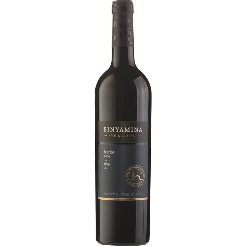 1848 Reserve Merlot 2021 | Cases Ship Free!