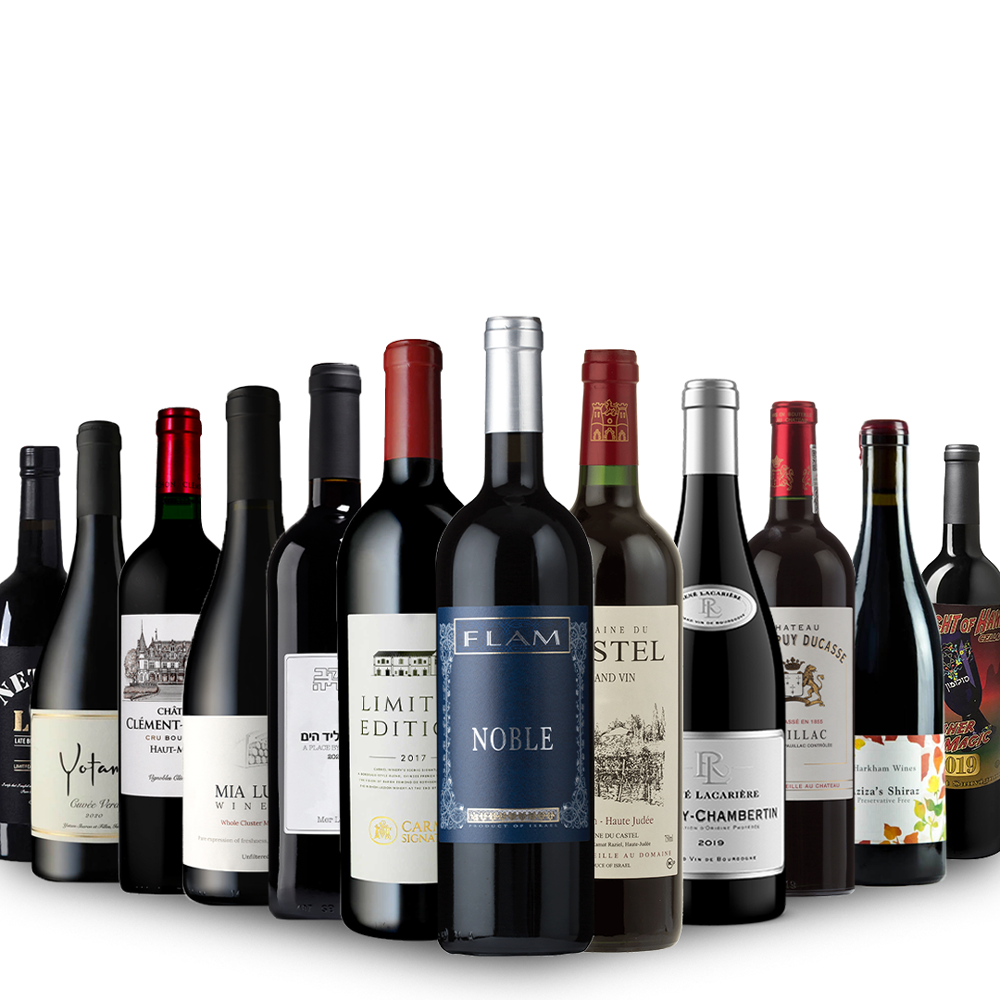 Shavuot Premium Mixed Case - A Curated Selection Of Kosher Wines