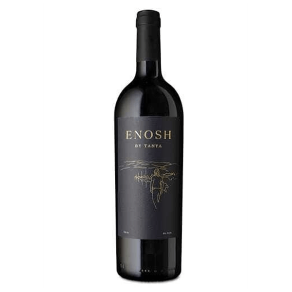 Tanya Enosh 2018