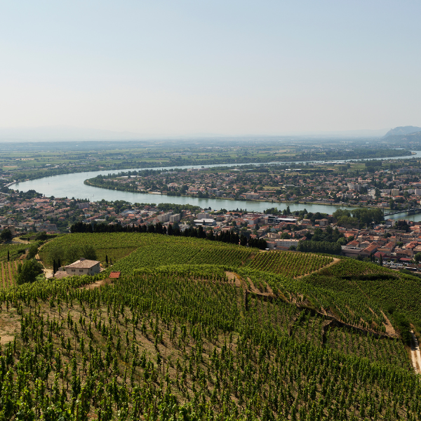 Rhone Valley France Vineyards