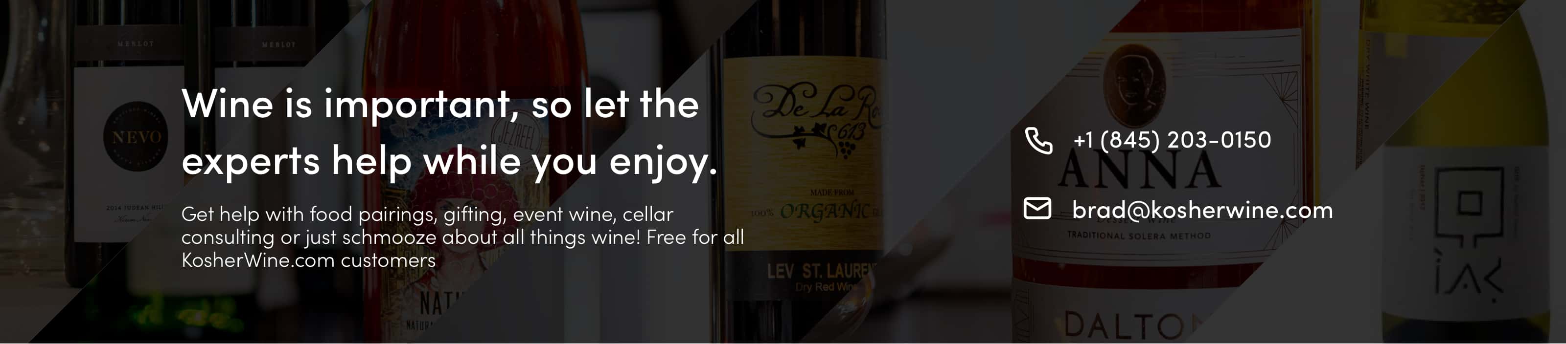 Kosher Wine Expert