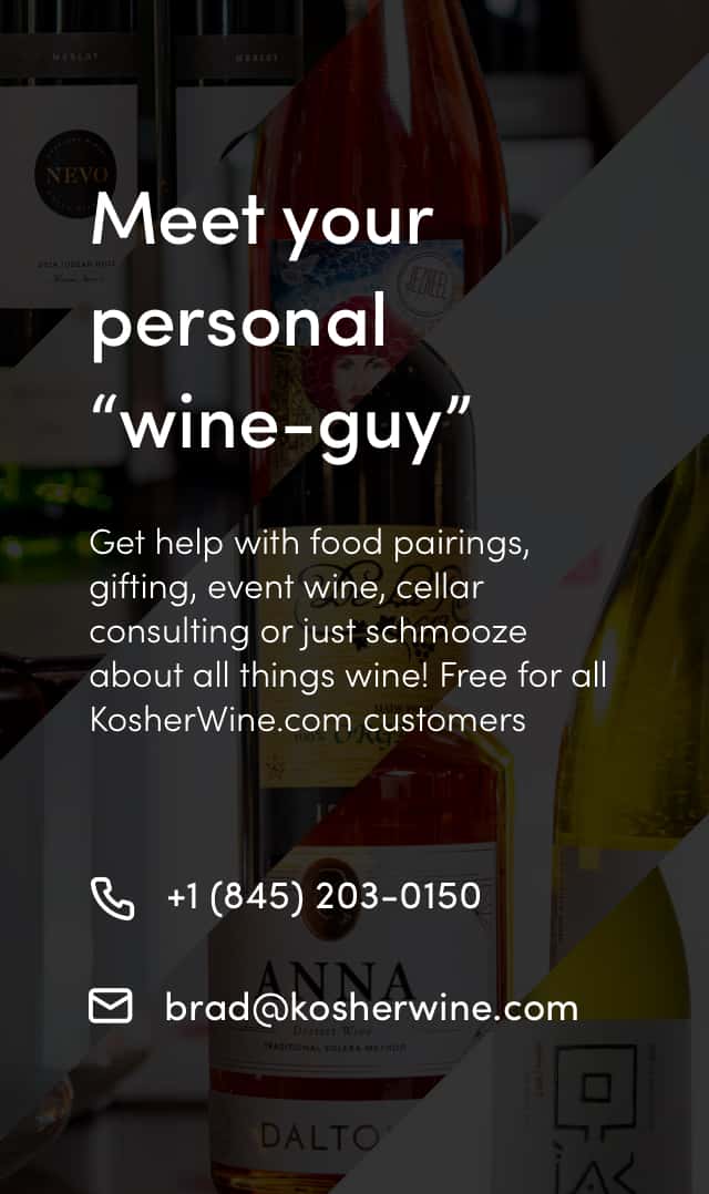 Kosher Wine Expert